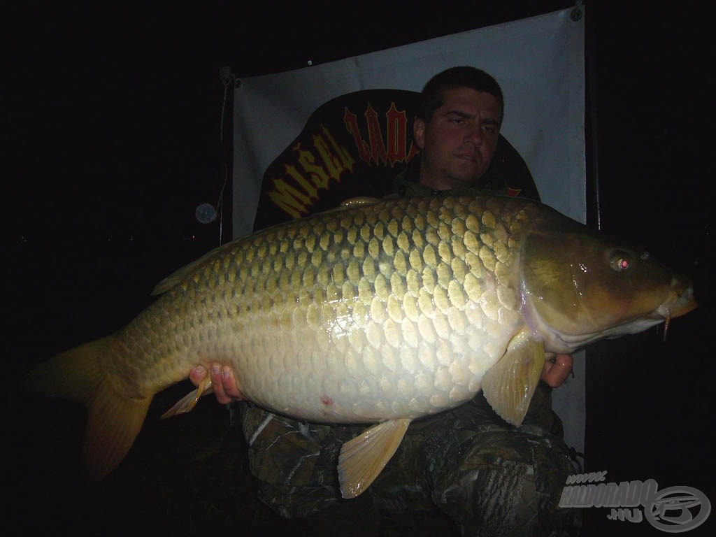 Kapitális töves Carp Dream Fish Steak bojlival