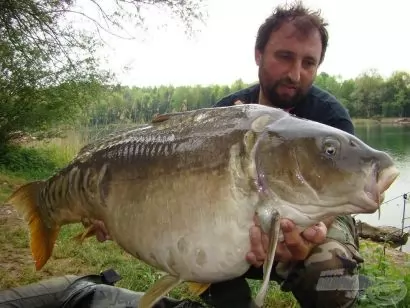 Új termékek a Zadravec Baits kiegészítő kellékeinek palettáján