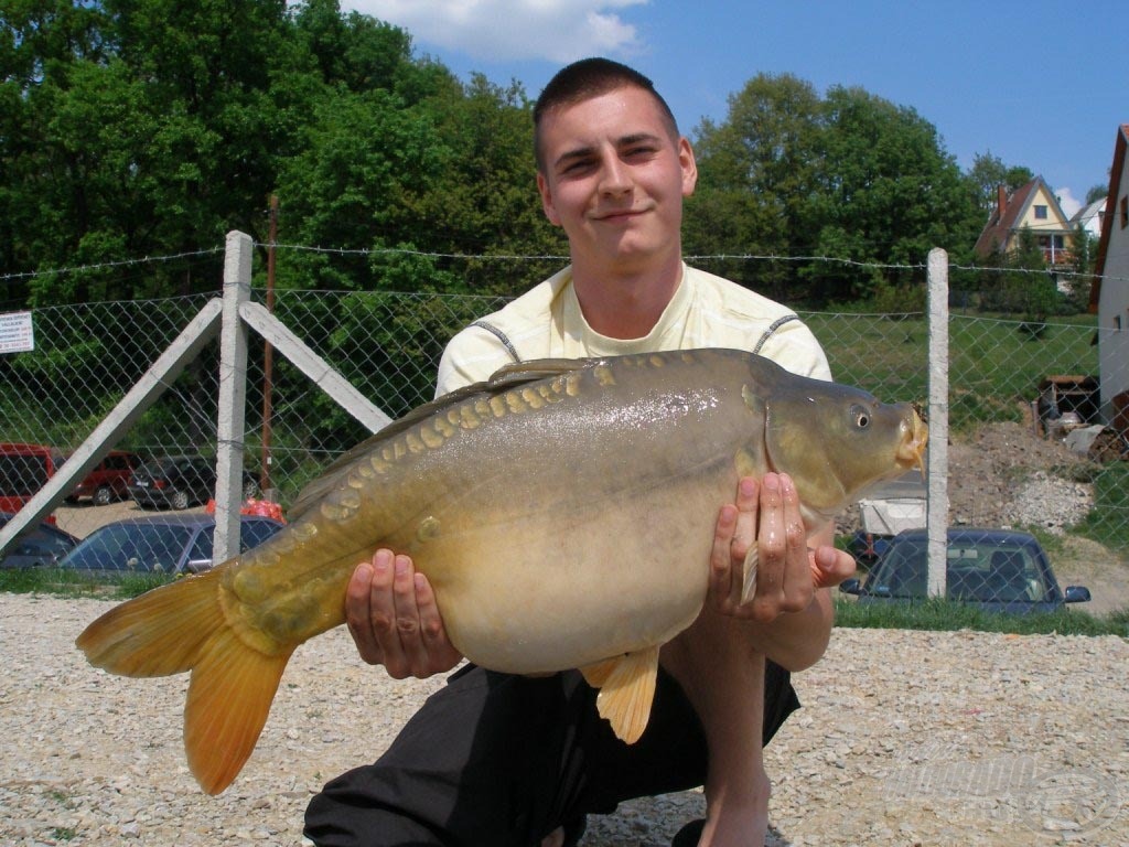 A mai nap fénypontja, egy gyönyörű, 8 kg-os ponty