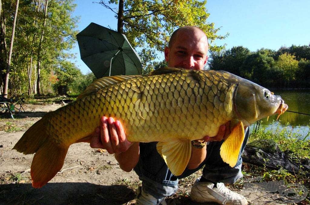 8,71 kg tiszta izom. Félórás fárasztás után lehetett megszákolni