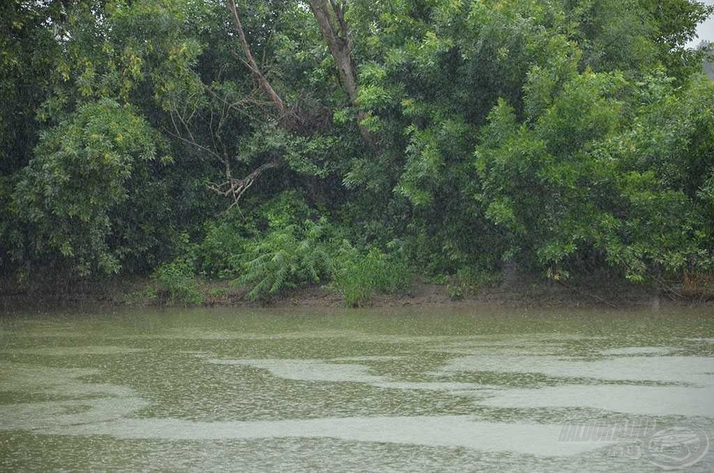 A folyamatos esőzés miatt kissé bezavarosodott a folyó és megemelkedett a vízszint