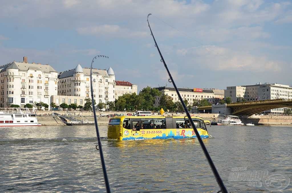 Valami mindig keverte a vizet előttünk…