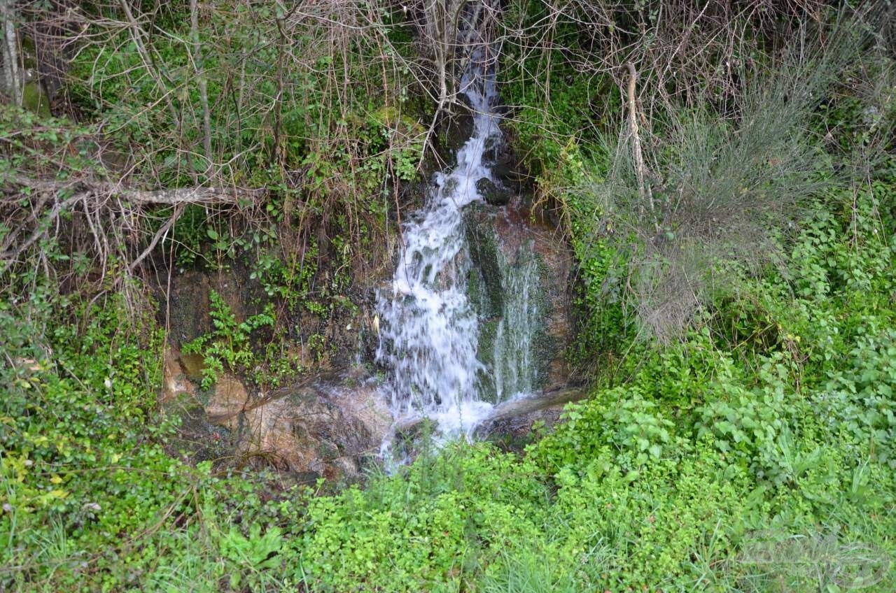 A sok téli csapadék miatt mindenhonnan patakok és erek folytak a hegyoldalból