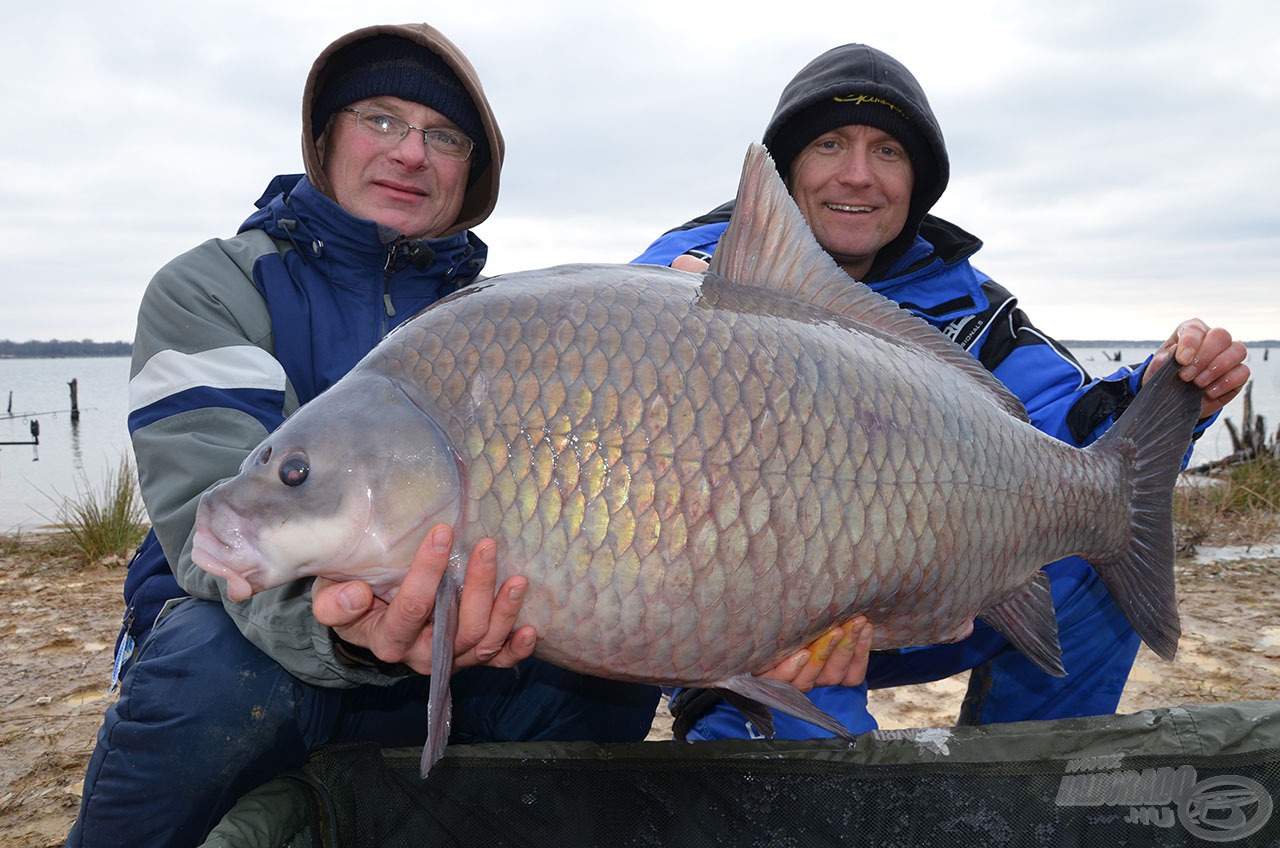 Ezért a halért jöttünk ismét a távoli Amerikába, neve: buffalo carp. Belőlük szerettünk volna fogni még többet és nagyobbakat!