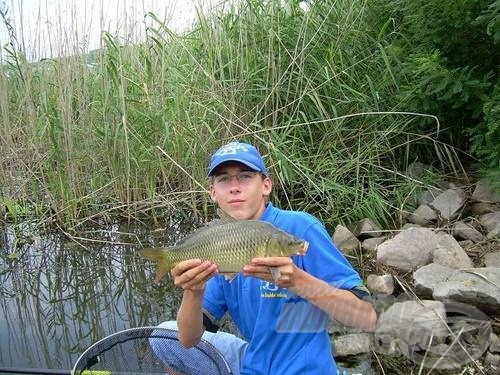 Sorban jöttek a szebbnél szebb pontyok…