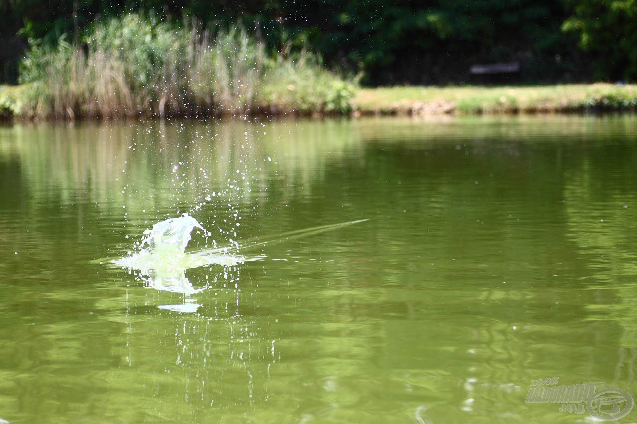 Beérkezik a végszerelék a kívánt helyre