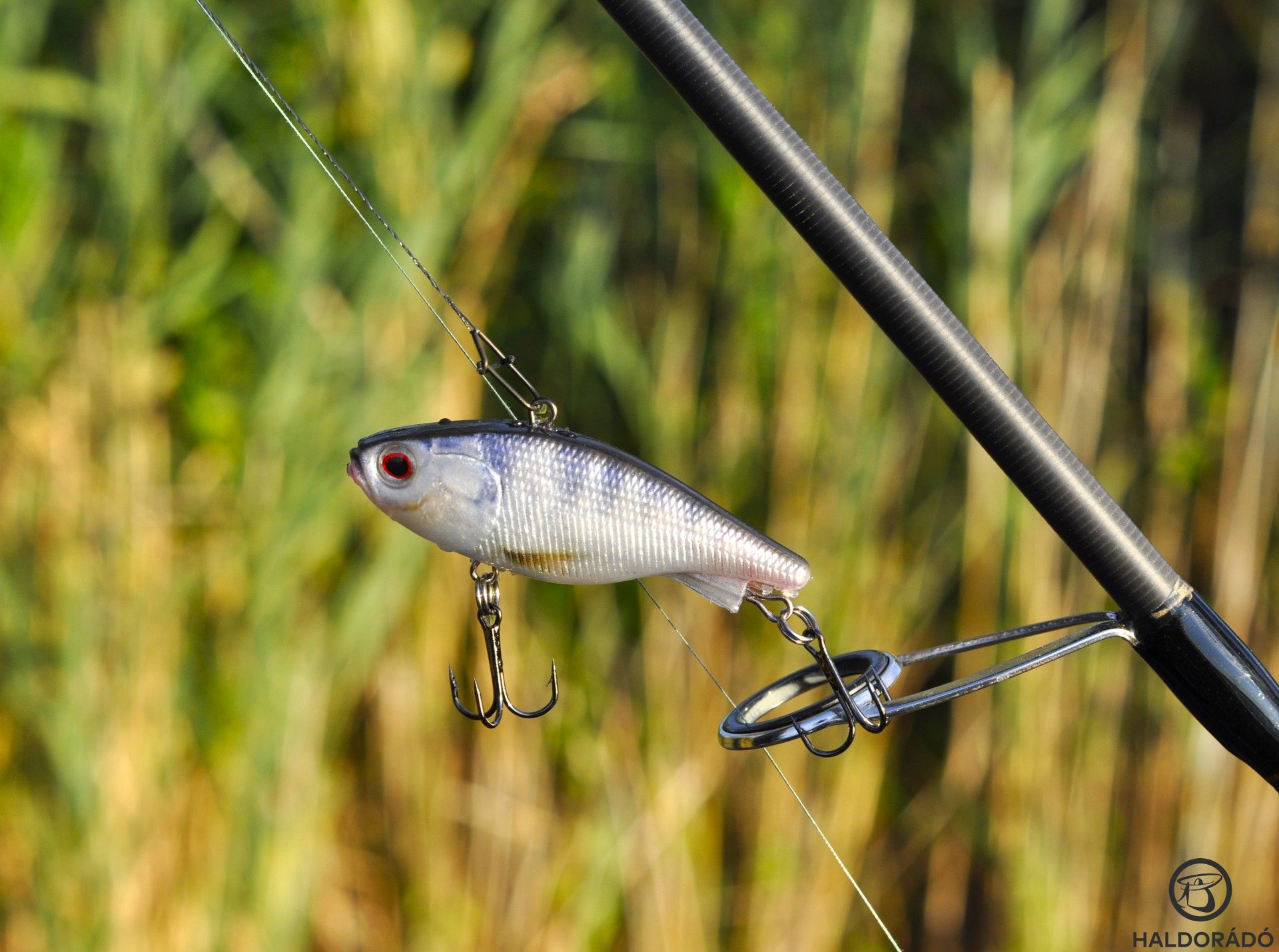 Fantasztikusan élethű mintázat, lágy, puha anyag, melyet az ólom-fém vázra öntöttek. A drótozás végig van vezetve a testen, a horgai pedig minőségi drillingek. Ezek jellemzik az új, kétféle méretben gyártott Vertix Blade plasztik csalikat