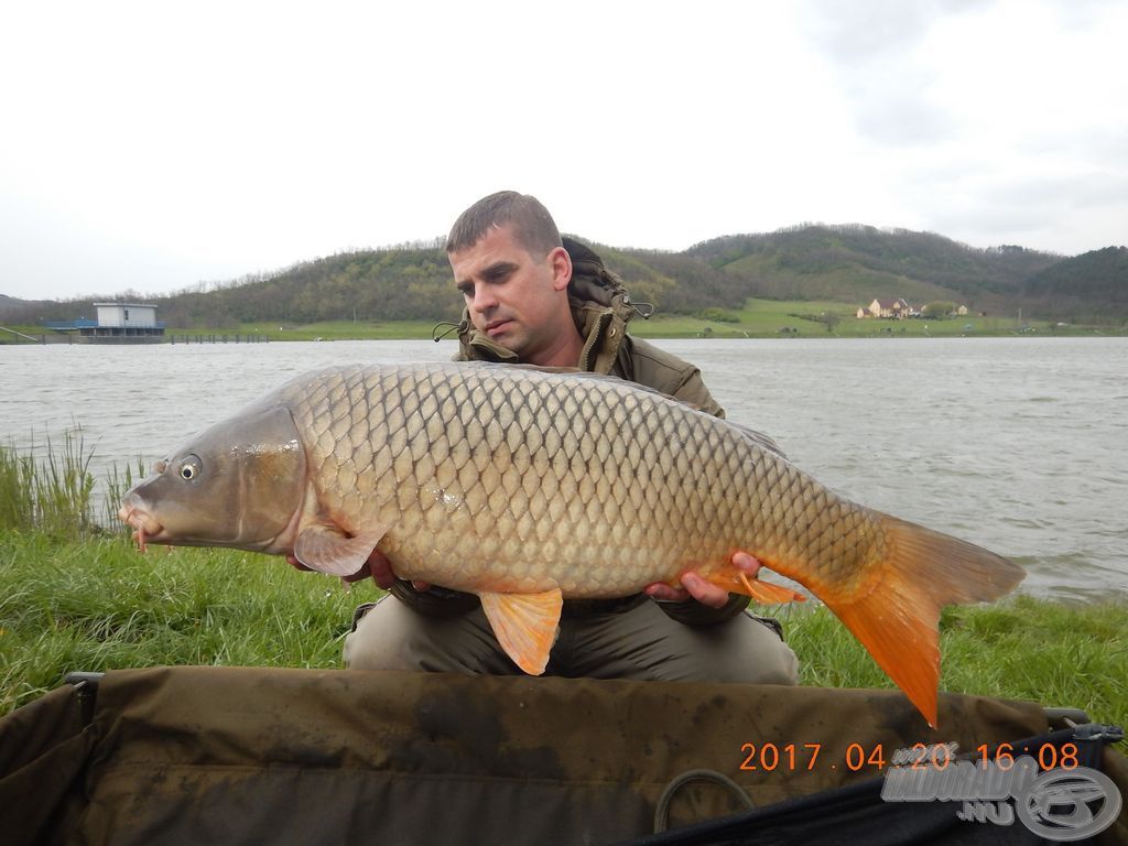 Remek nyurga, egyben az első +10-es hal