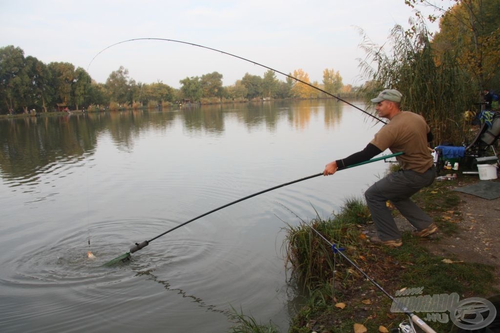 Jellemzően azért inkább a kisebb példányok jelentkeztek előbb