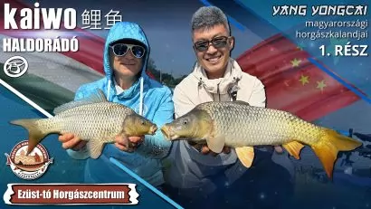 Yang Yongcai magyarországi horgászkalandjai 1. rész – Method Feederes pontyhorgászat az Ezüst-tavon