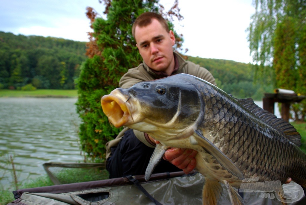 Gyönyörűségem, ami 10,15 kg volt