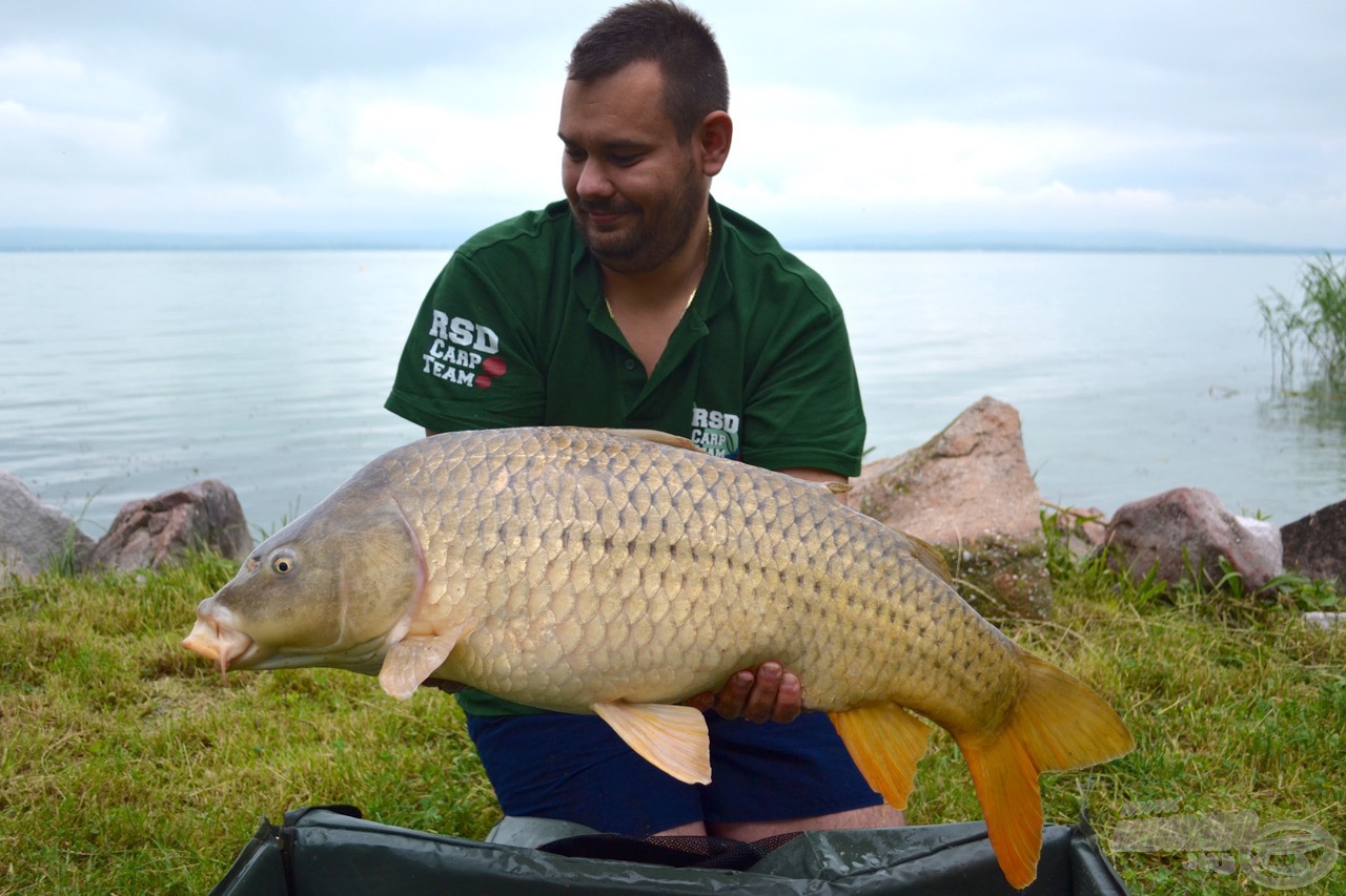 Karcsi 12 kg-ot meghaladó csodálatos, első 10 pluszos sikere