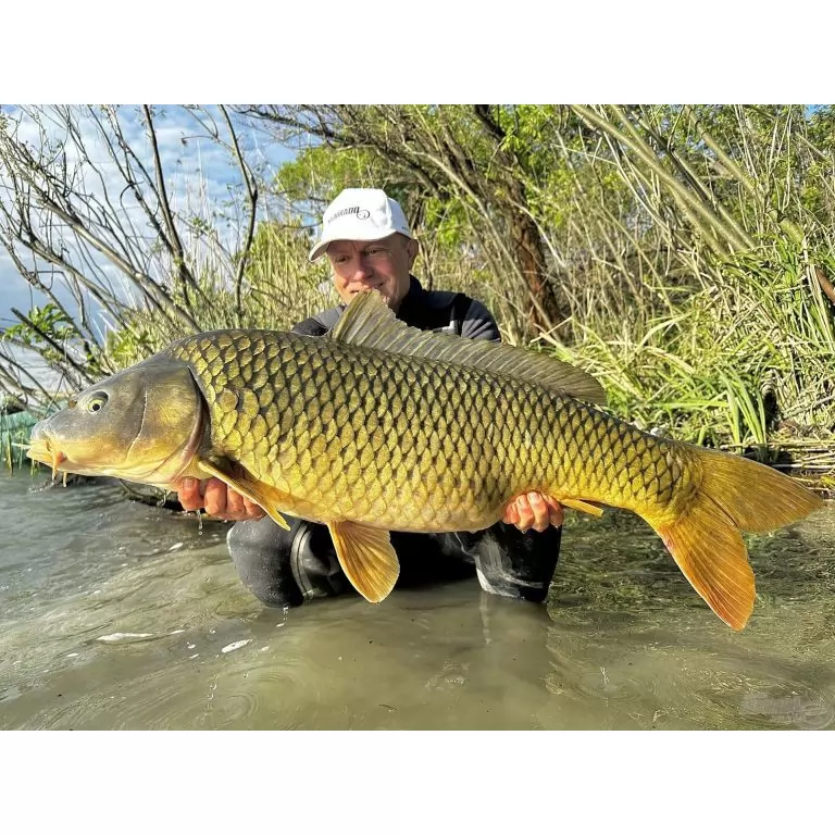 BLACK EDITION BC 300 2,5 Lbs csónakos, behúzós nagypontyos horgászbot / 10