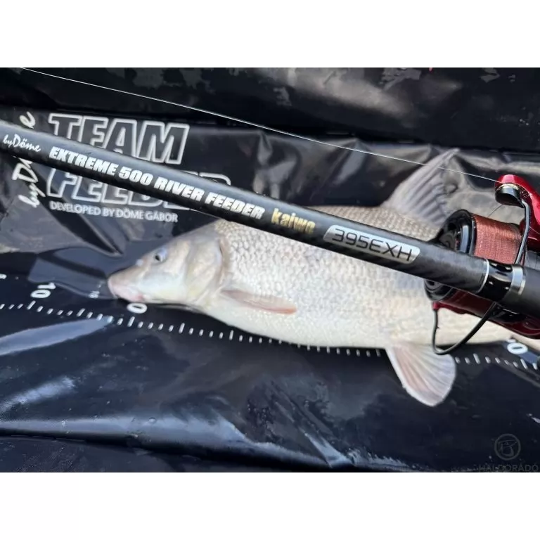 By Döme EXTREME 500 River Kaiwo Feeder 300EXH - brutál erős és rugalmas TOP folyóvízi feederbot / 24