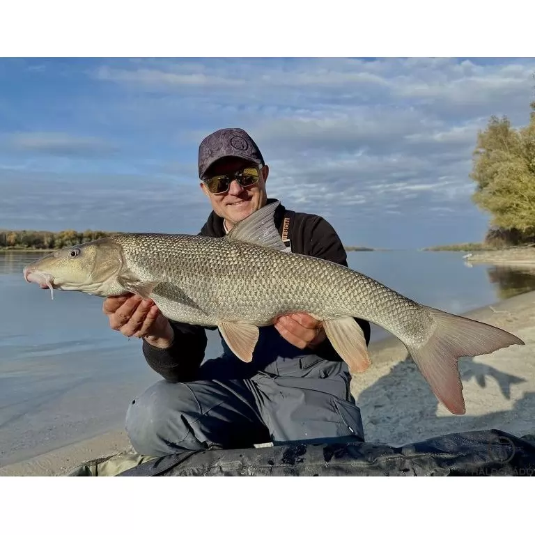 By Döme EXTREME 500 River Kaiwo Feeder 360EXH - brutál erős és rugalmas TOP folyóvízi feederbot / 28