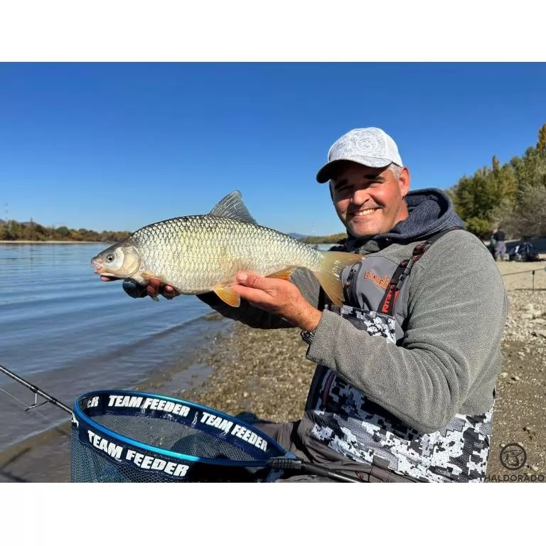 By Döme EXTREME 500 River Kaiwo Feeder 395EXH - brutál erős és rugalmas TOP folyóvízi feederbot / 14