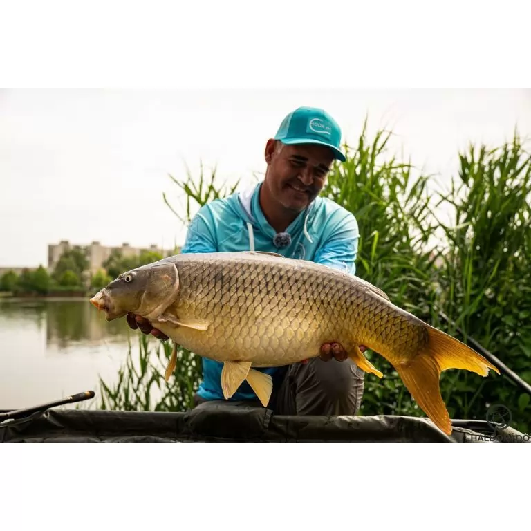 By Döme Kaiwo Gold Method Feeder 380MH horgászbot / 8