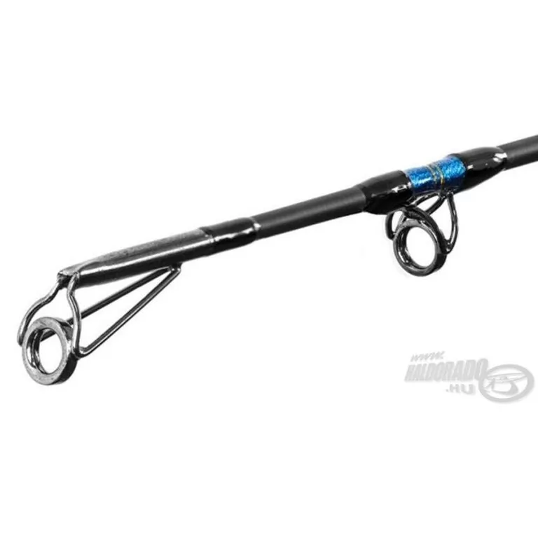 DELPHIN Hazard 3,1 m / 3