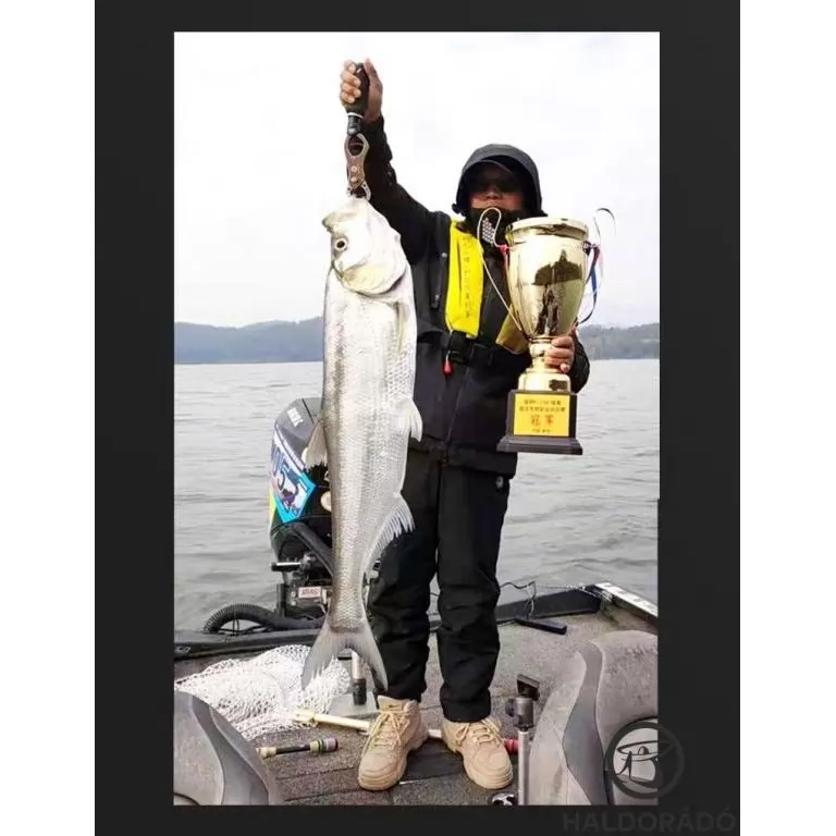 ECOODA Shadow Strike 191M Casting JIG-es harcsás pergetőbot / 8