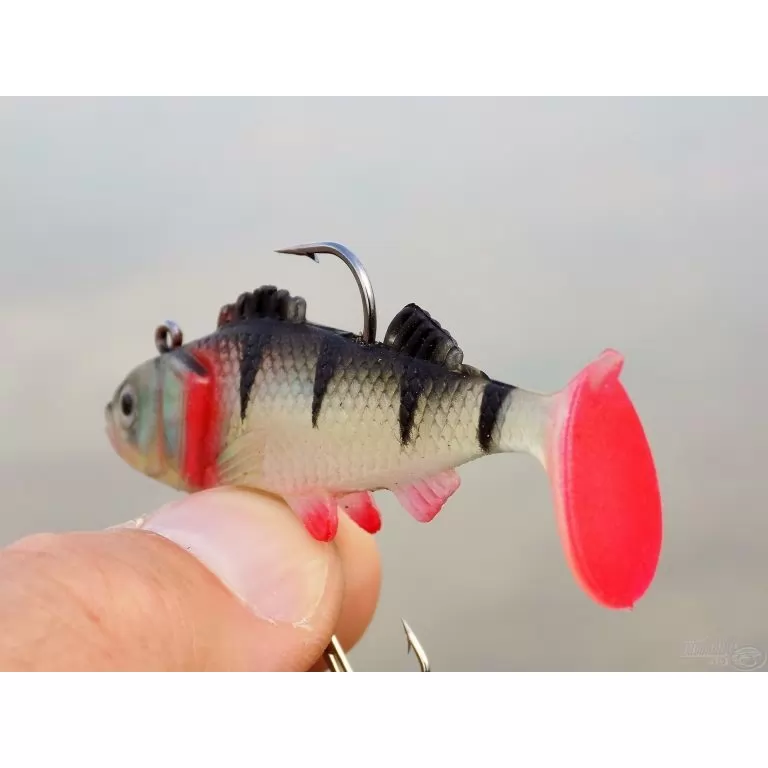 ENERGOTEAM Wizard Sügér / 2