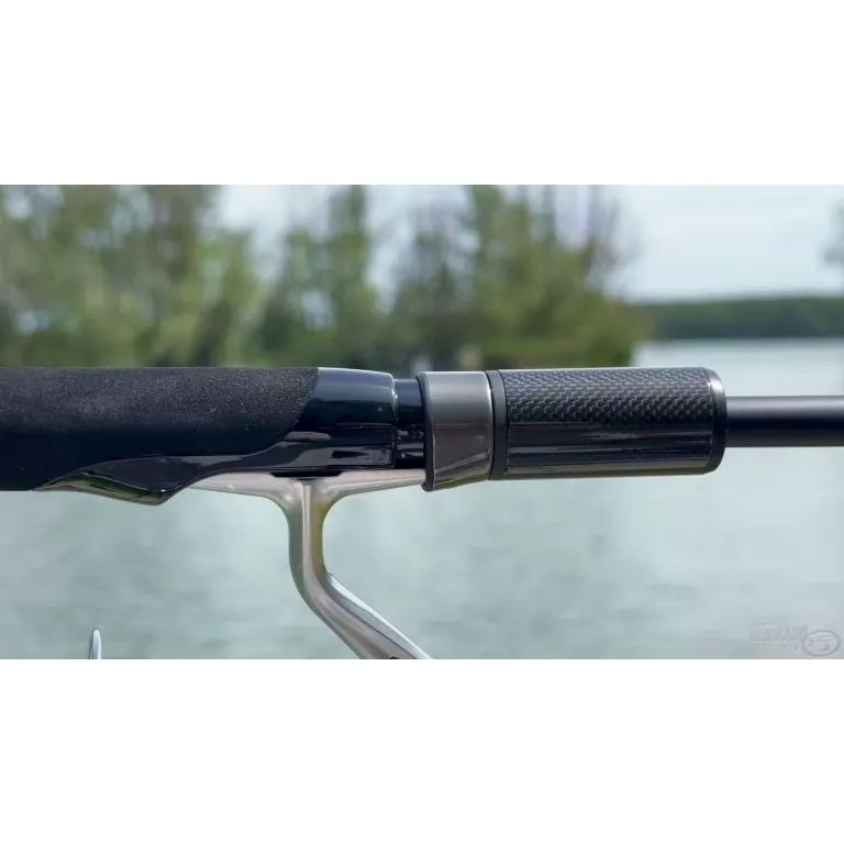 FAVORITE Black Swan 772M / 10