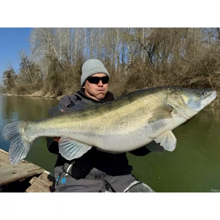 FRAPP Geko 11,5 cm - 22 / 8