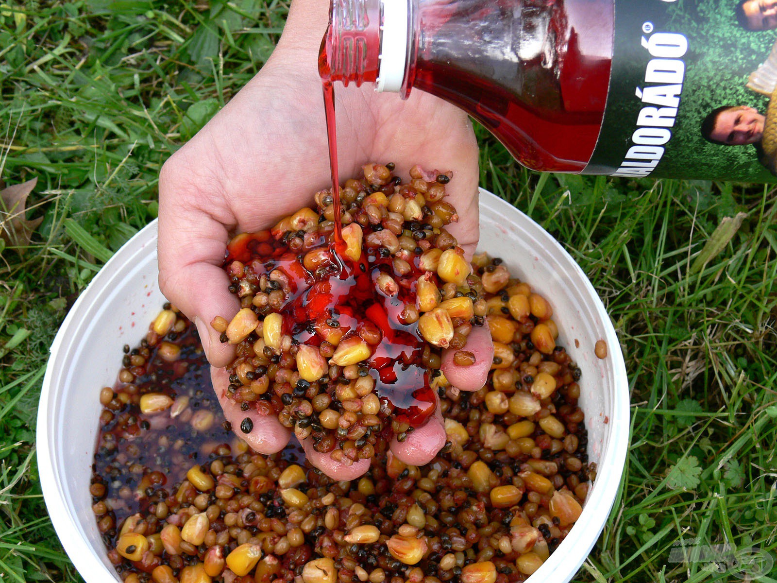 Carp Syrup - Nagy Hal
