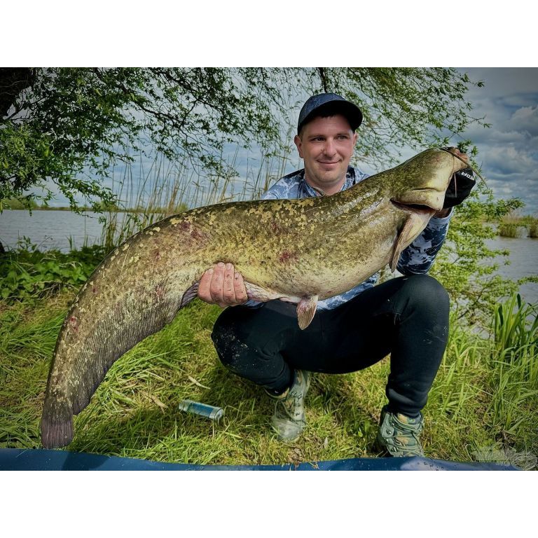 HALDORÁDÓ Catfish Rig 10 - Pelletes horogelőke