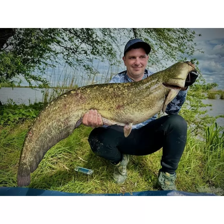 HALDORÁDÓ Catfish Rig 10 - Pelletes horogelőke / 5