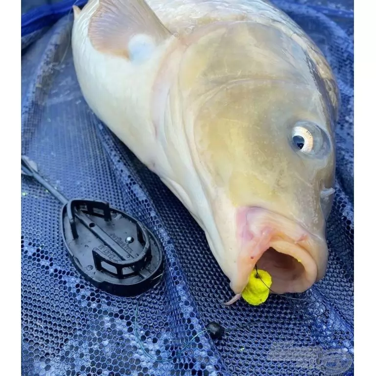 HALDORÁDÓ Dart XL 45 g HALDORÁDÓ Dart XL 45 g