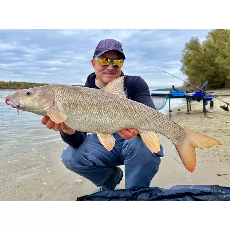 HALDORÁDÓ N-WAVE CONNECT 1 - SIC betétes, erős csúszó forgós karabiner / 6