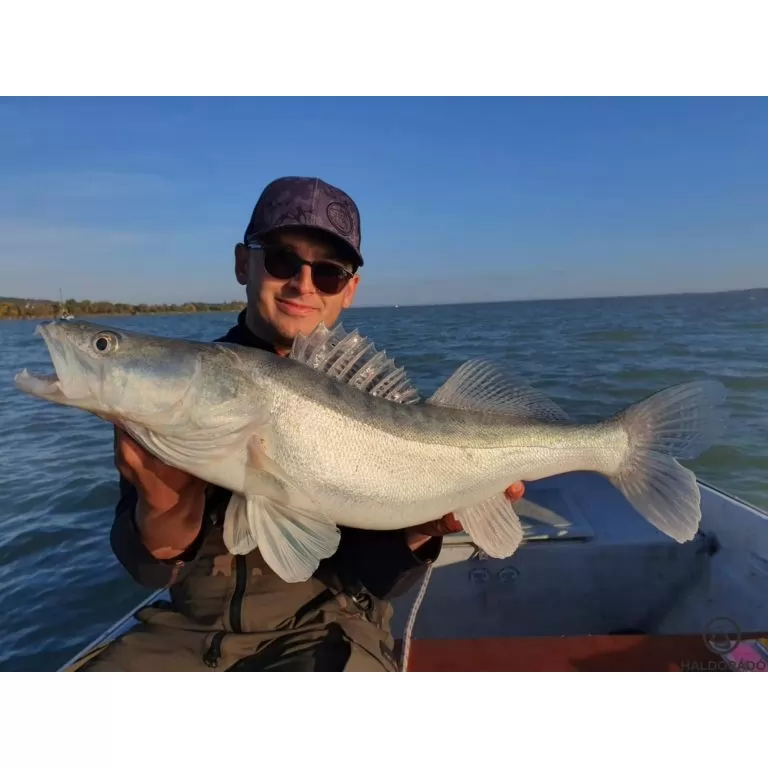 HALDORÁDÓ Predator Jig PRO 1/0 - 3 g / 6