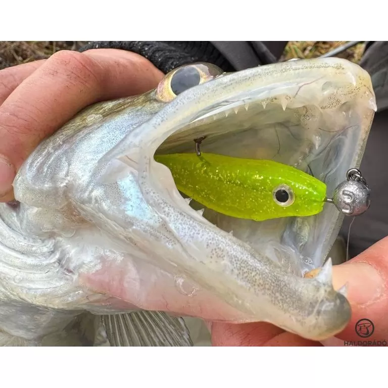 HALDORÁDÓ Predator Jig PRO 2/0 - 12 g / 3