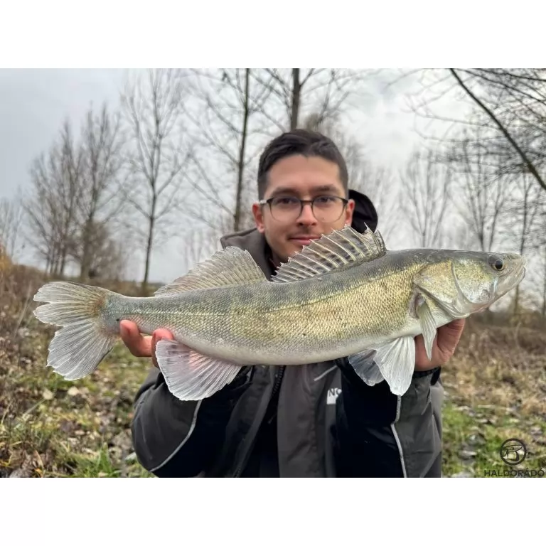 HALDORÁDÓ Predator Jig PRO 3/0 - 10 g / 5