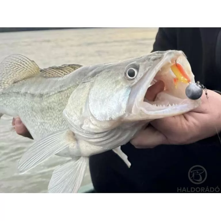 HALDORÁDÓ Predator Jig PRO 3/0 - 32 g / 2