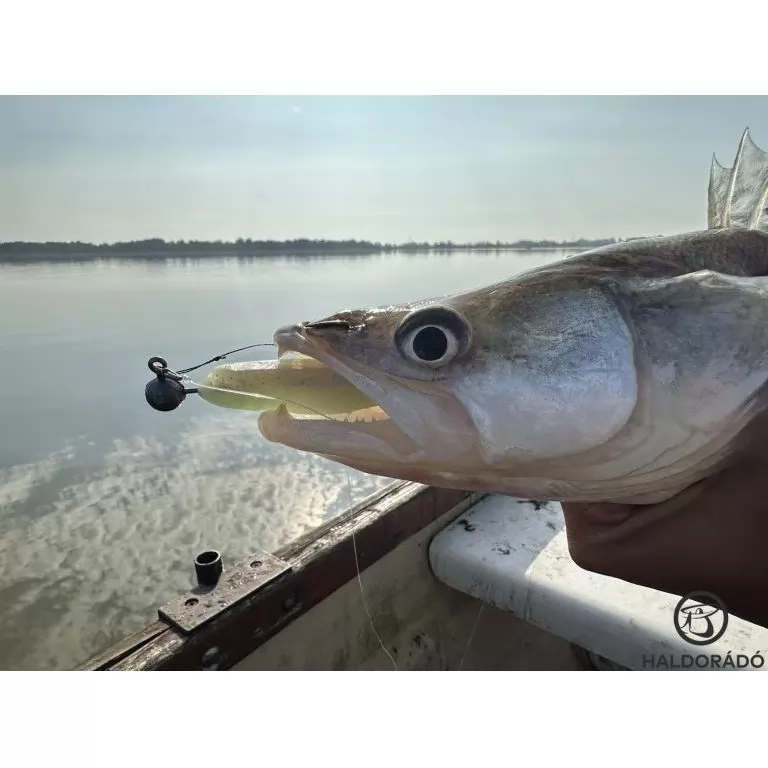 HALDORÁDÓ Predator Jig PRO 6/0 - 18 g / 2