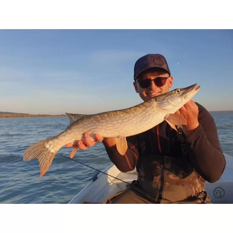 HALDORÁDÓ Predator Jig PRO 8/0 - 10 g / 4