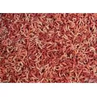 Magic Maggot Pinki színes 100 g