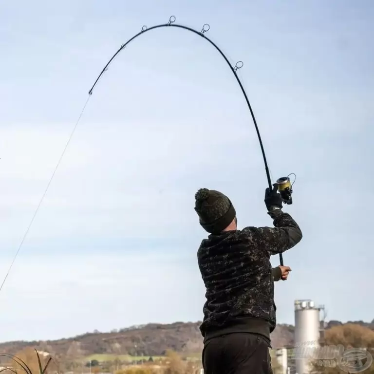 NASH Dwarf Cork 300 3 Lbs / 4