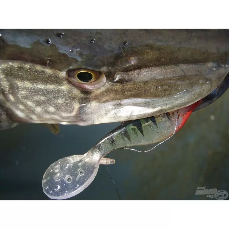 NEVIS Vantage Twister Shad 9 cm - Piros-Flitter