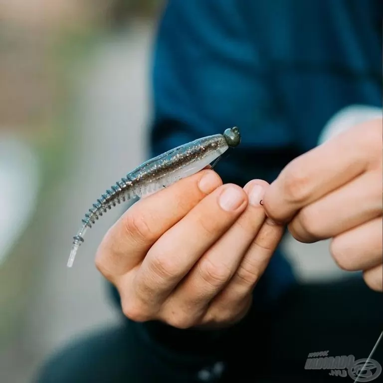 Rapala Crushcity Freeloader 10,6 cm - CPRL / 2