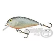 SALMO Butcher BR5F GS