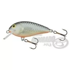 SALMO Butcher BR5F GS