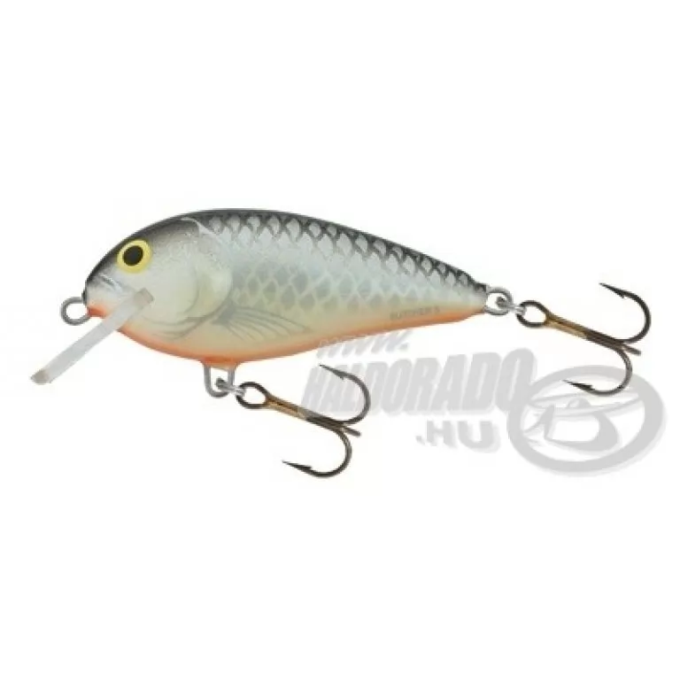 SALMO Butcher BR5F GS / 1