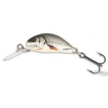 SALMO Hornet H2S D