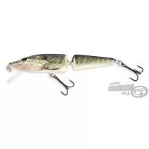 SALMO Pike PE11JF RPE