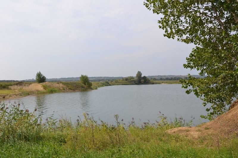 Carp&Carp Horgásztó, Hejő-Tó Carp&Carp Horgásztó, Hejő-Tó