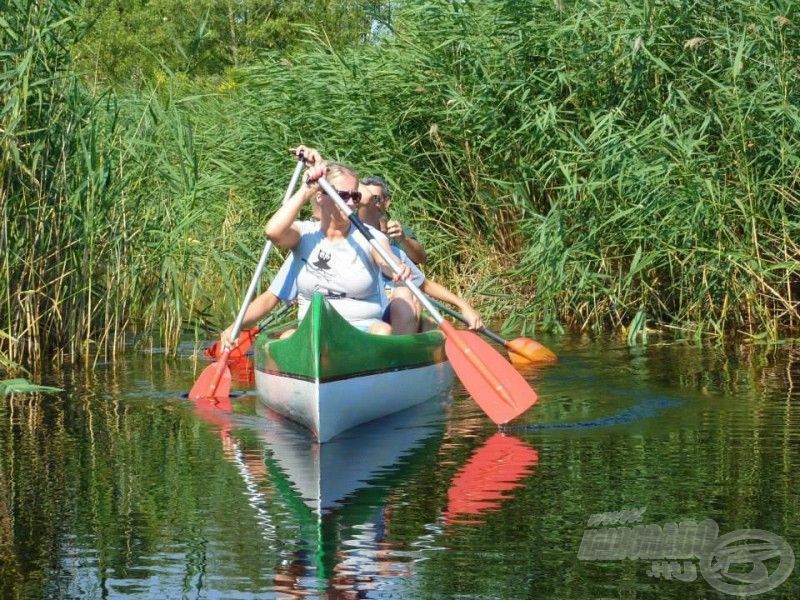 Kenutúra a Fertő nádasában