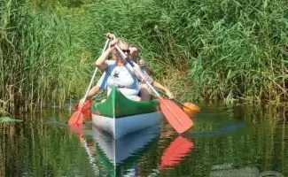 Kenutúra a Fertő nádasában